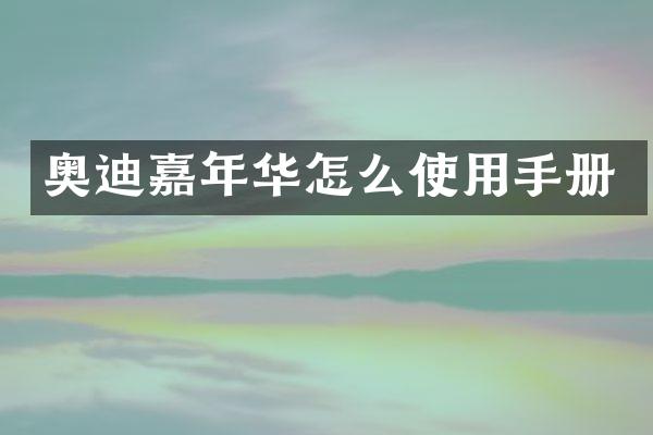 奥迪嘉年华怎么使用手册