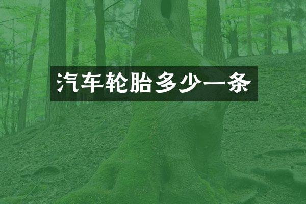 汽车轮胎多少一条