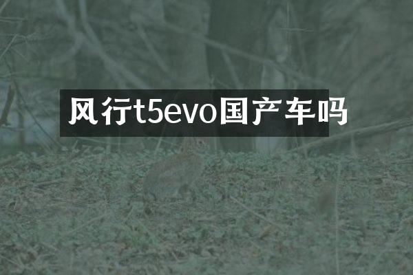 风行t5evo国产车吗