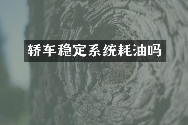 轿车稳定系统耗油吗