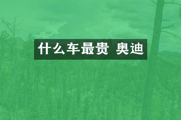 什么车最贵 奥迪