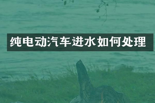 纯电动汽车进水如何处理