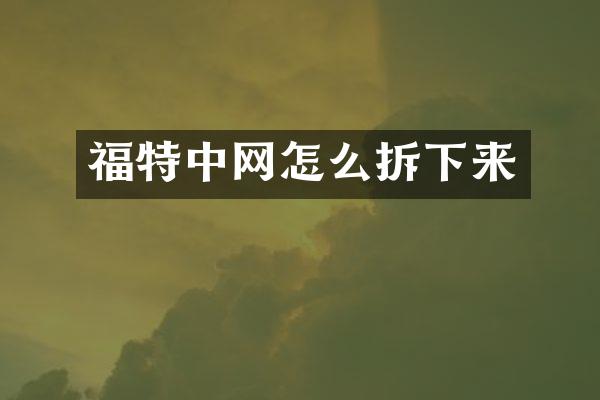 福特中网怎么拆下来