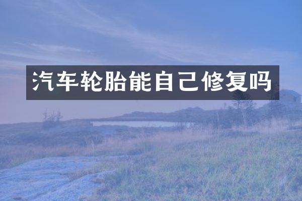 汽车轮胎能自己修复吗