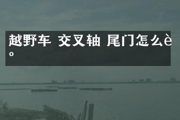 越野车 交叉轴 尾门怎么调