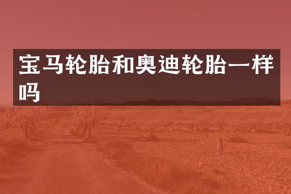 宝马轮胎和奥迪轮胎一样吗