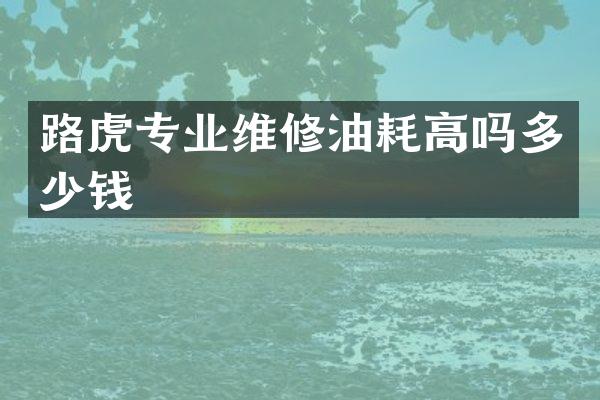 路虎专业维修油耗高吗多少钱