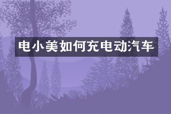 电小美如何充电动汽车