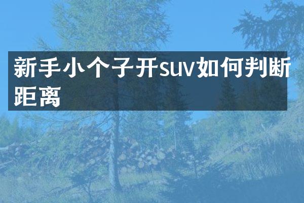 新手小个子开suv如何判断距离