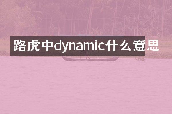 路虎中dynamic什么意思