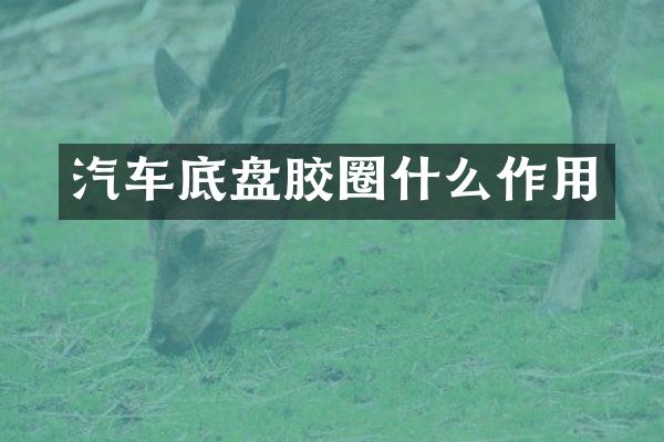 汽车底盘胶圈什么作用