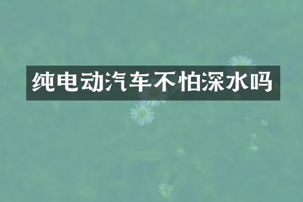 纯电动汽车不怕深水吗