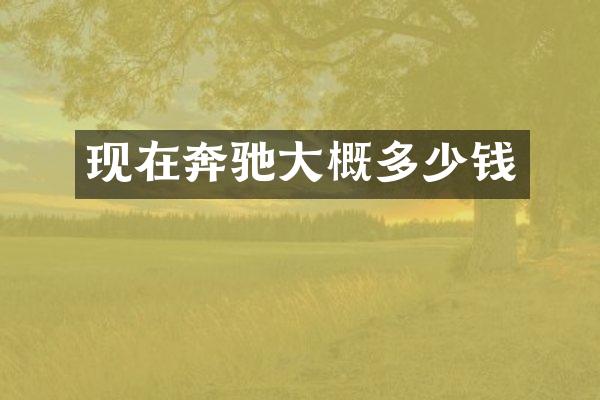 现在奔驰大概多少钱