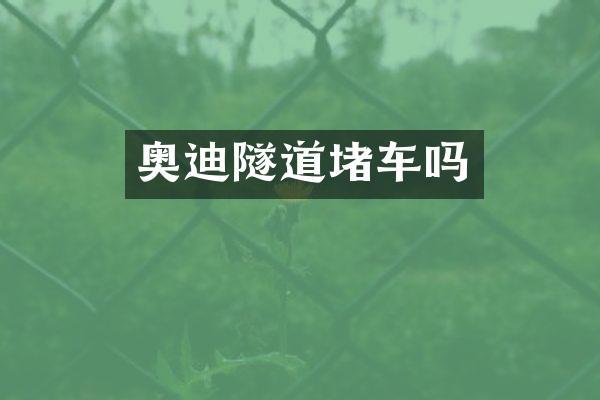 奥迪隧道堵车吗