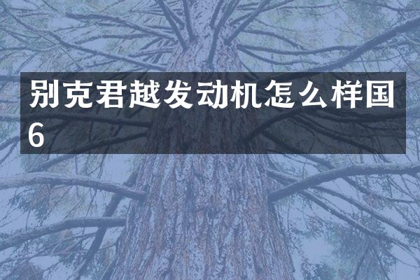 别克君越发动机怎么样国6
