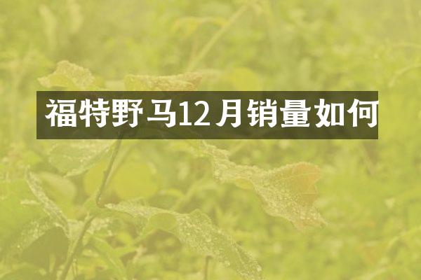 福特野马12月销量如何