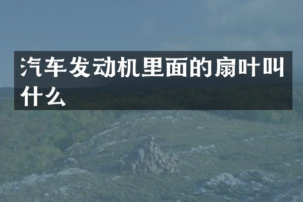 汽车发动机里面的扇叶叫什么
