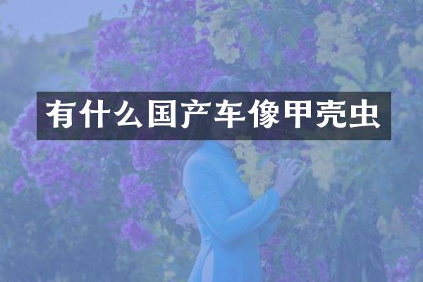 有什么国产车像甲壳虫