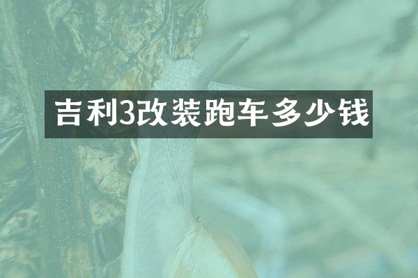 吉利3改装跑车多少钱