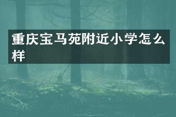 重庆宝马苑附近小学怎么样