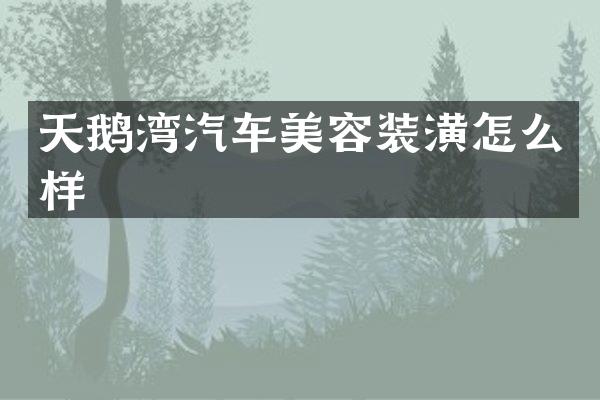 天鹅湾汽车美容装潢怎么样
