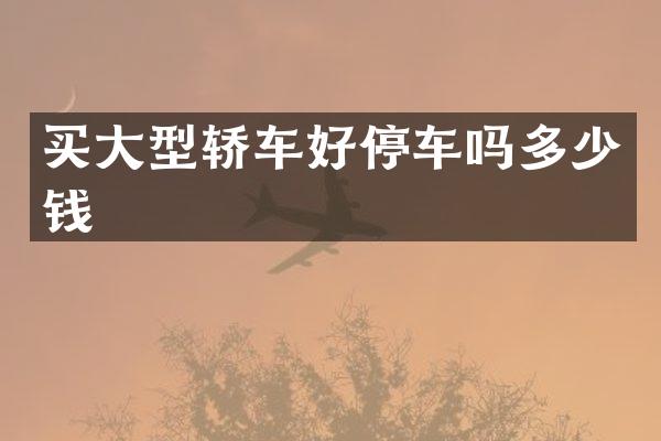 买大型轿车好停车吗多少钱
