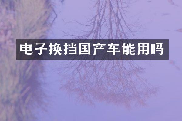 电子换挡国产车能用吗
