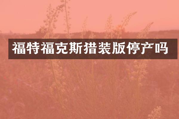 福特福克斯猎装版停产吗