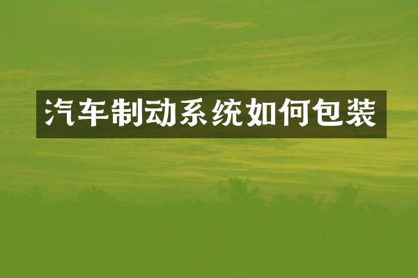 汽车制动系统如何包装