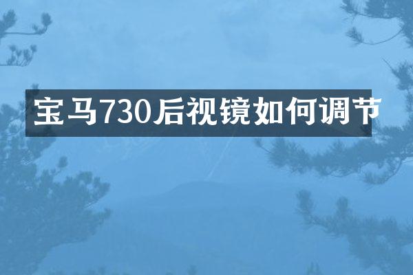 宝马730后视镜如何调节