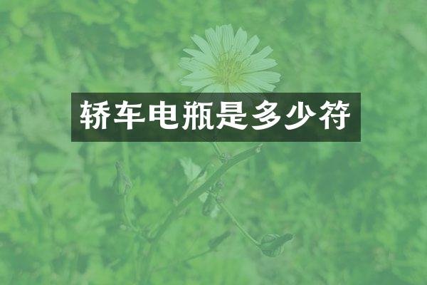 轿车电瓶是多少符