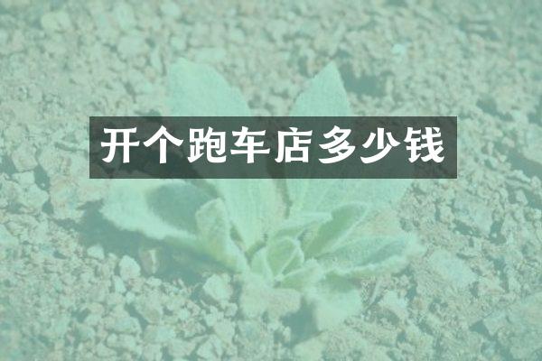 开个跑车店多少钱