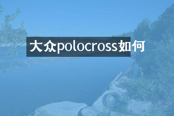大众polocross如何