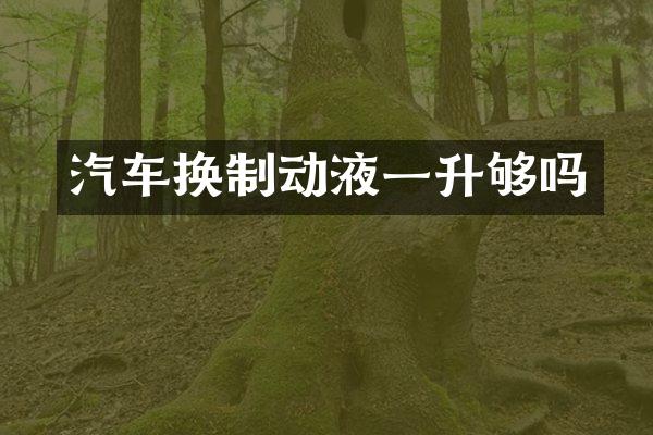 汽车换制动液一升够吗