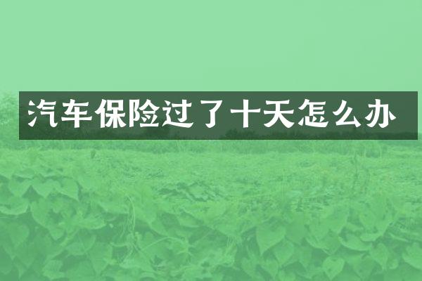 汽车保险过了十天怎么办