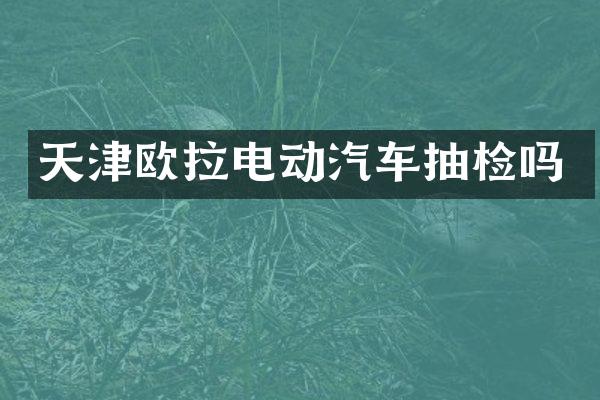 天津欧拉电动汽车抽检吗