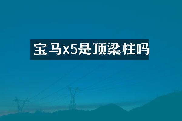 宝马x5是顶梁柱吗