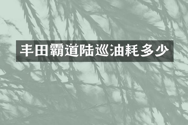 丰田霸道陆巡油耗多少