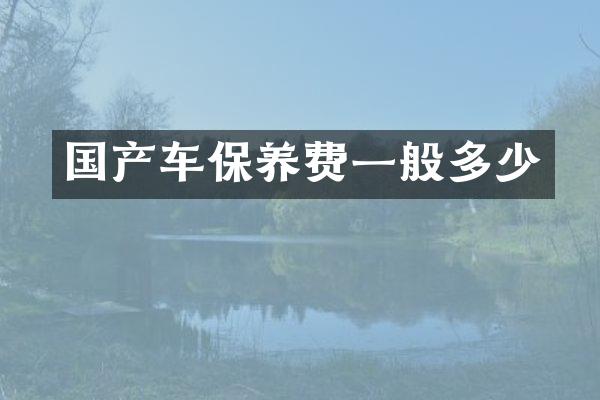 国产车保养费一般多少