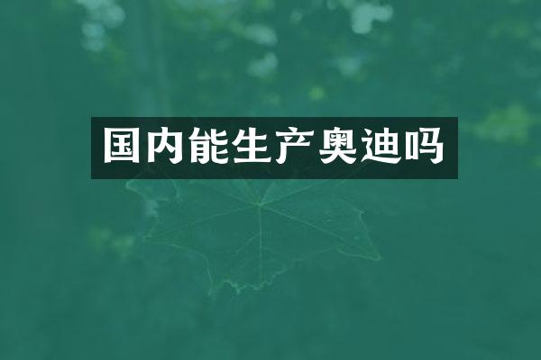 国内能生产奥迪吗