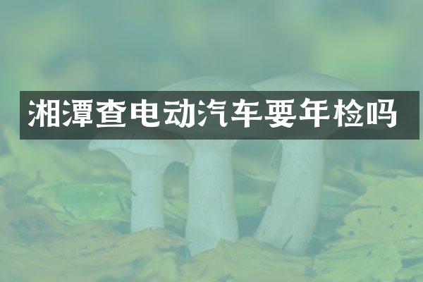湘潭查电动汽车要年检吗