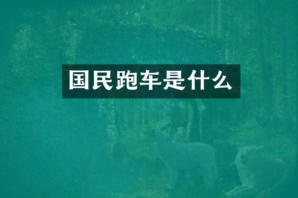 国民跑车是什么