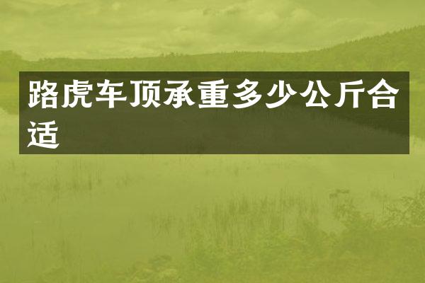 路虎车顶承重多少公斤合适