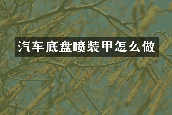 汽车底盘喷装甲怎么做