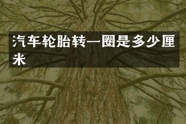 汽车轮胎转一圈是多少厘米