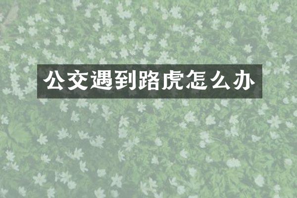 公交遇到路虎怎么办