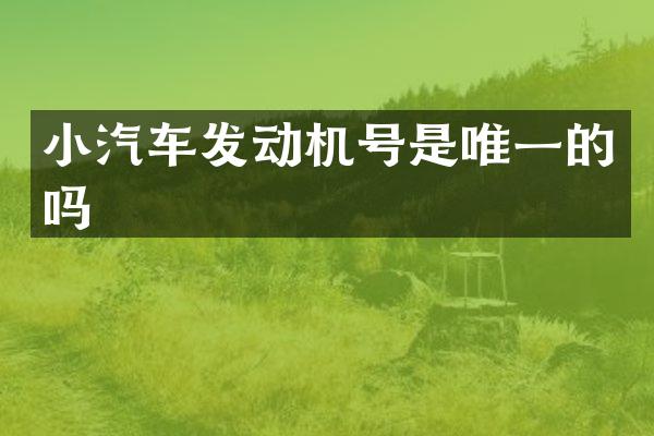 小汽车发动机号是唯一的吗