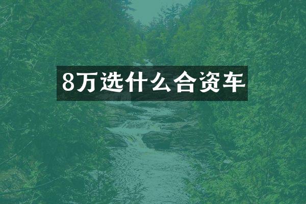 8万选什么合资车