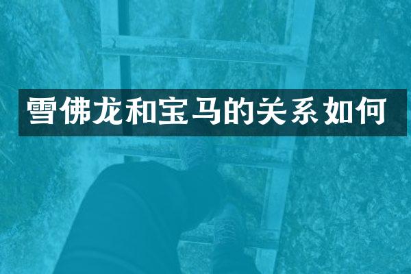 雪佛龙和宝马的关系如何