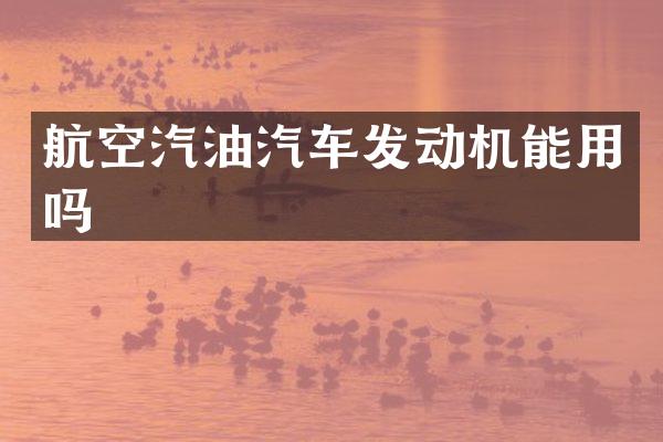 航空汽油汽车发动机能用吗